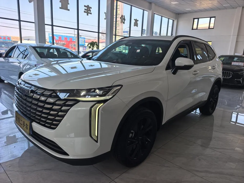 Haval H6 2.0T Auto 2WD Max Edition, 2024 — фото 1