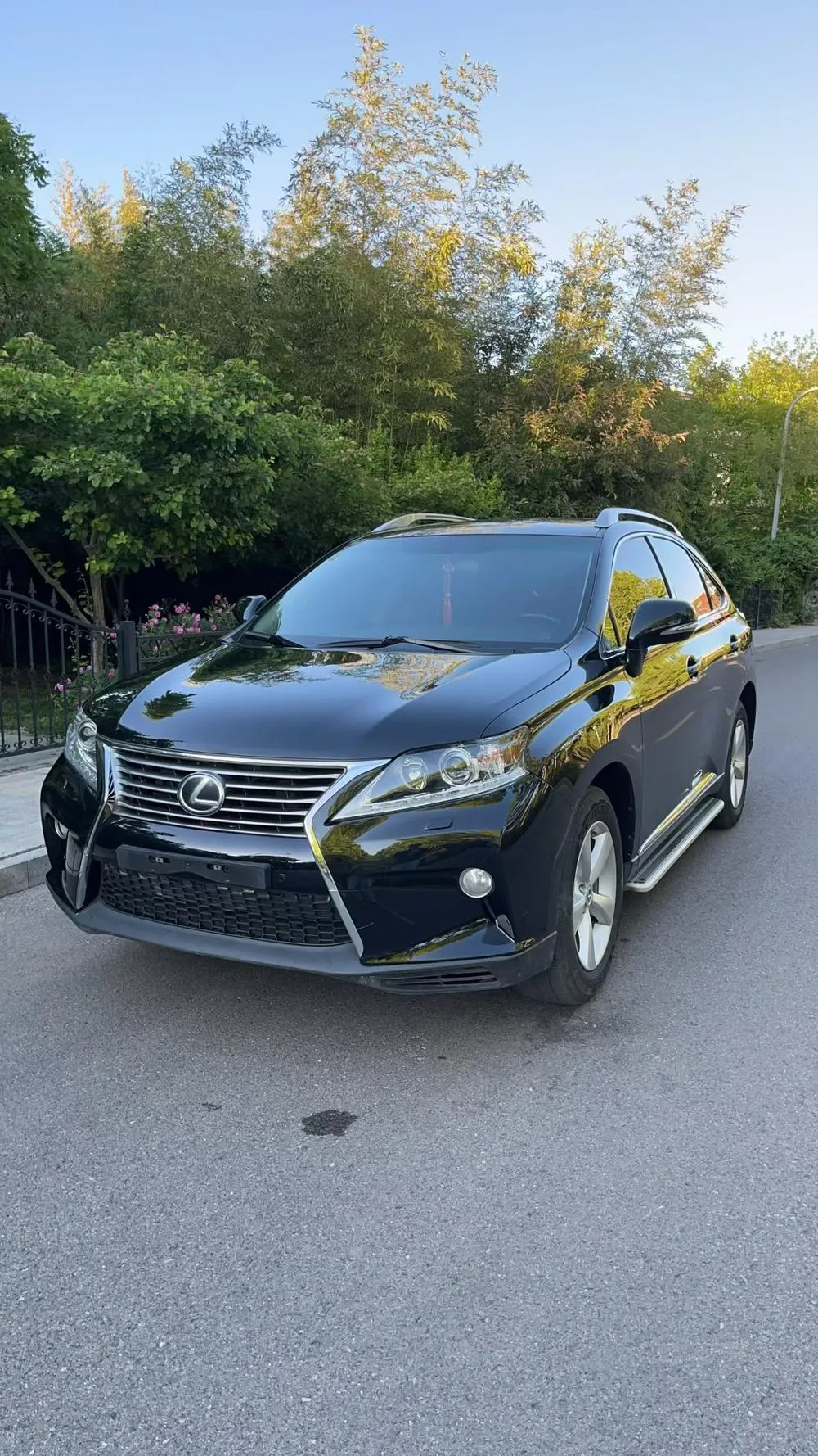 Lexus RX Classic 270 Luxury Edition, 2013 — фото 1