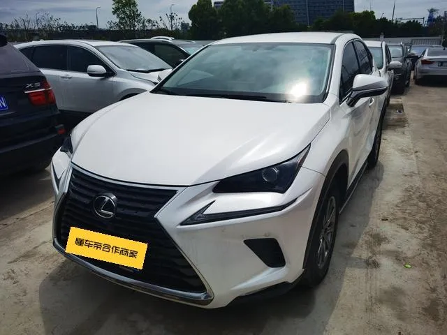 Lexus NX 200 FWD Edition CN6, 2020 — фото 1