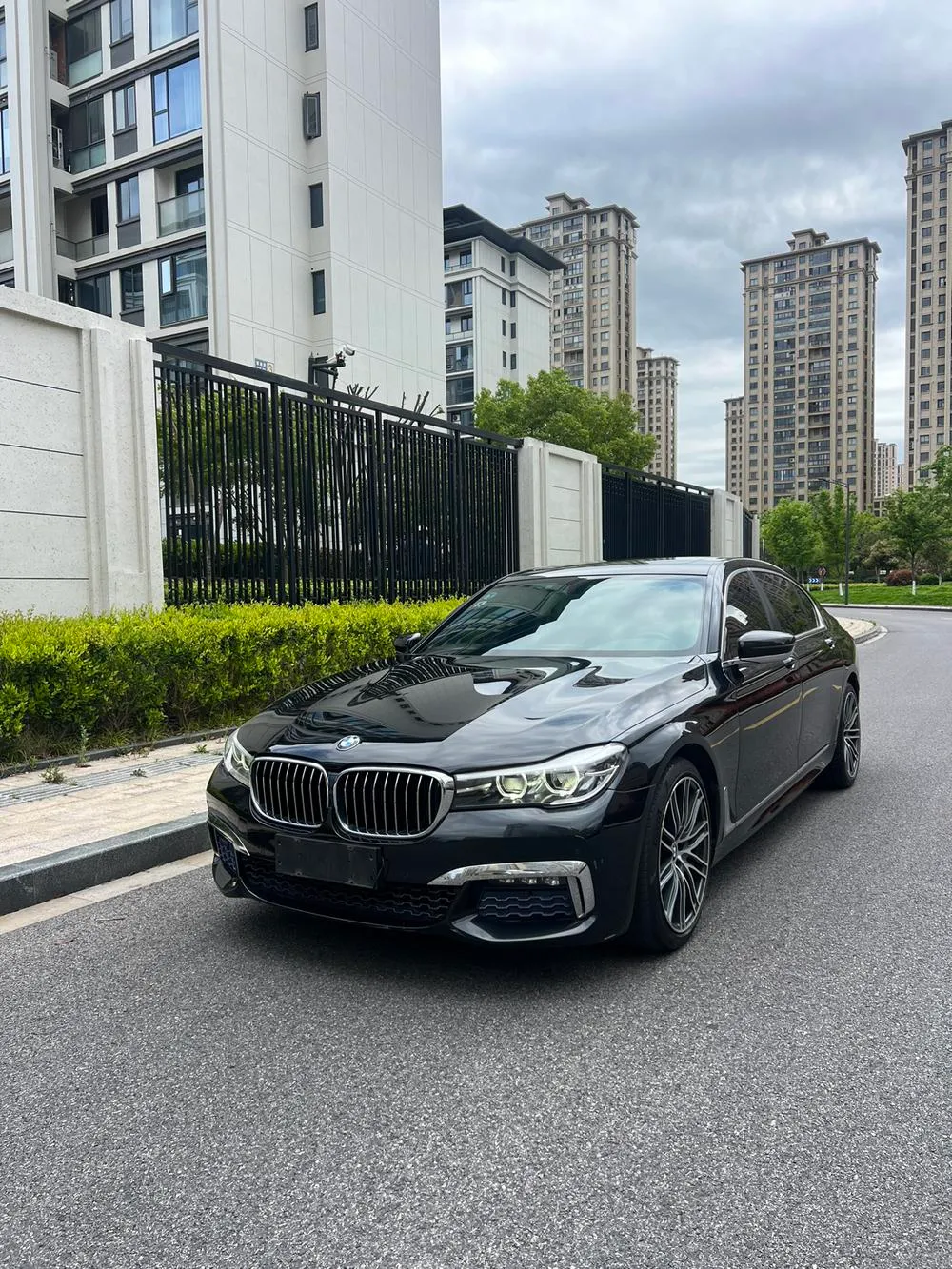 BMW 7-Series 730Li Leading Version, 2017 — фото 1