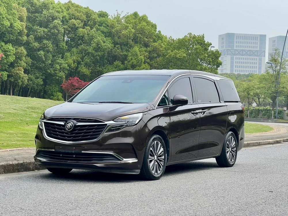Buick GL8 ES Premium 653T Prestige Version, 2021 — фото 1