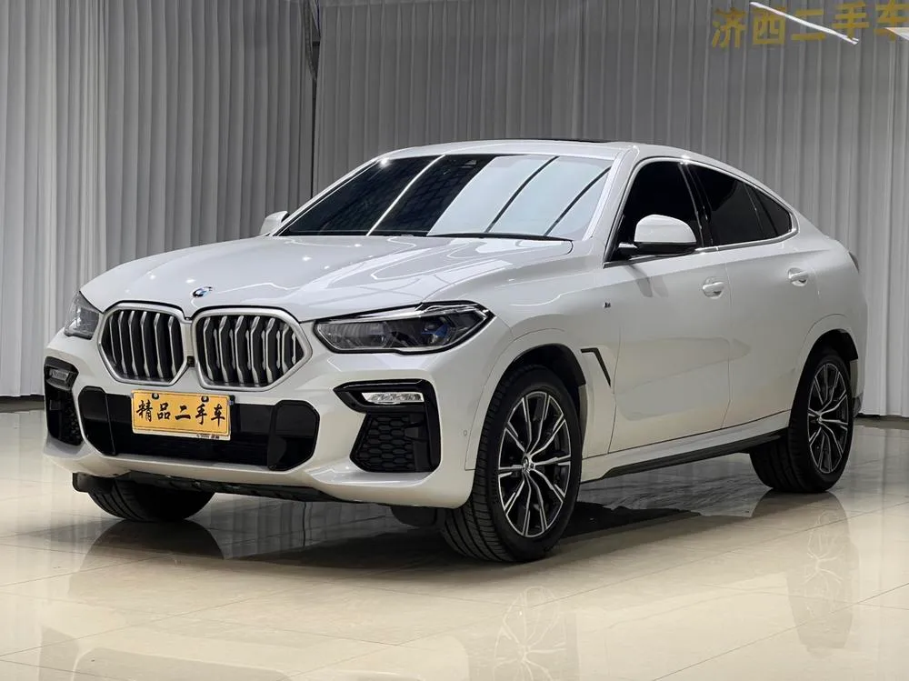 BMW X6 xDrive40i M Sport, 2020 — фото 1