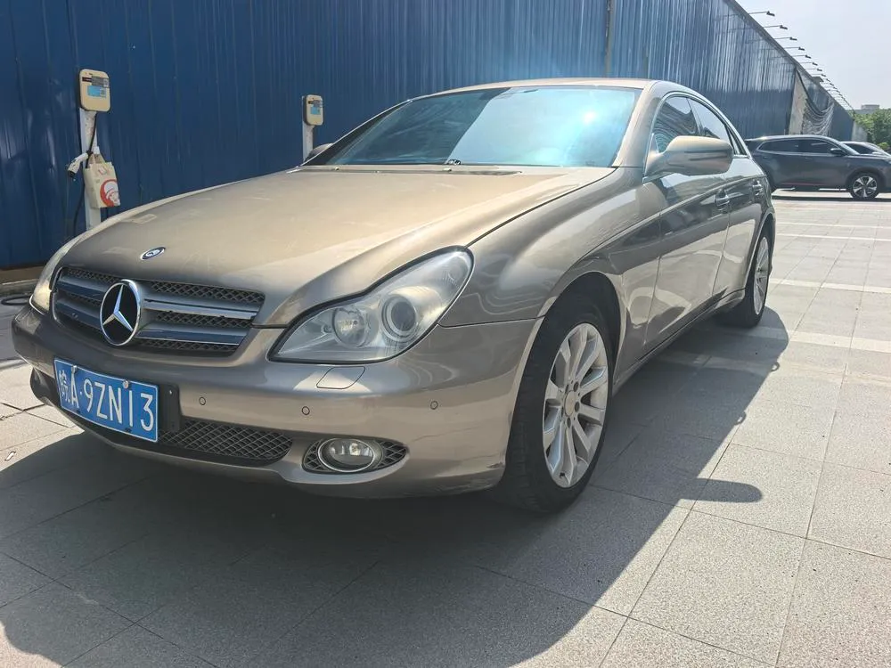 Mercedes-Benz CLS CLS 300, 2009 — фото 1