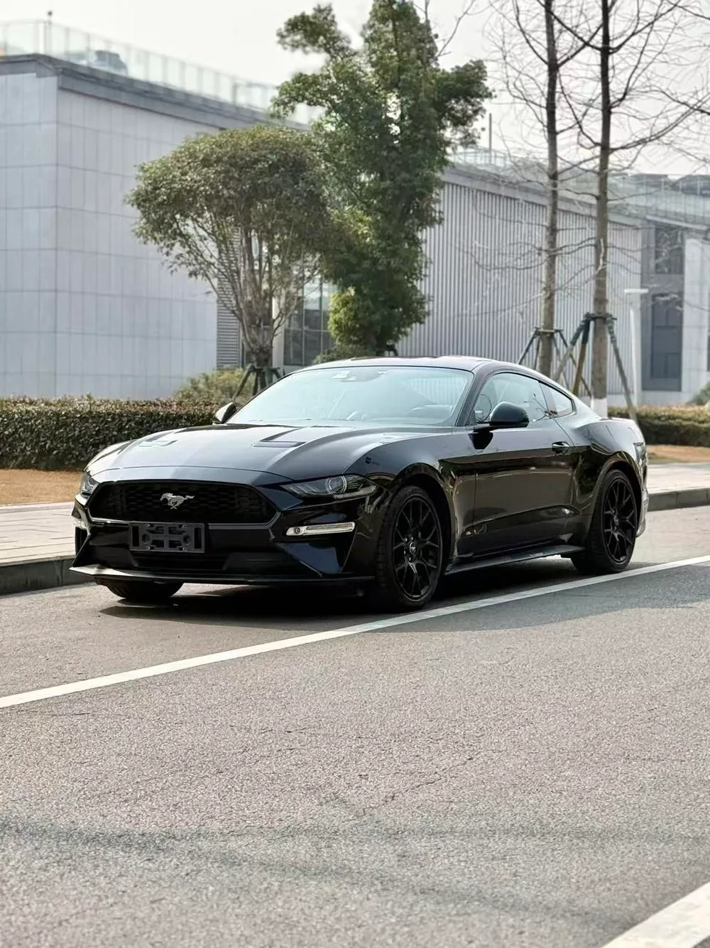 Ford Mustang, 2020