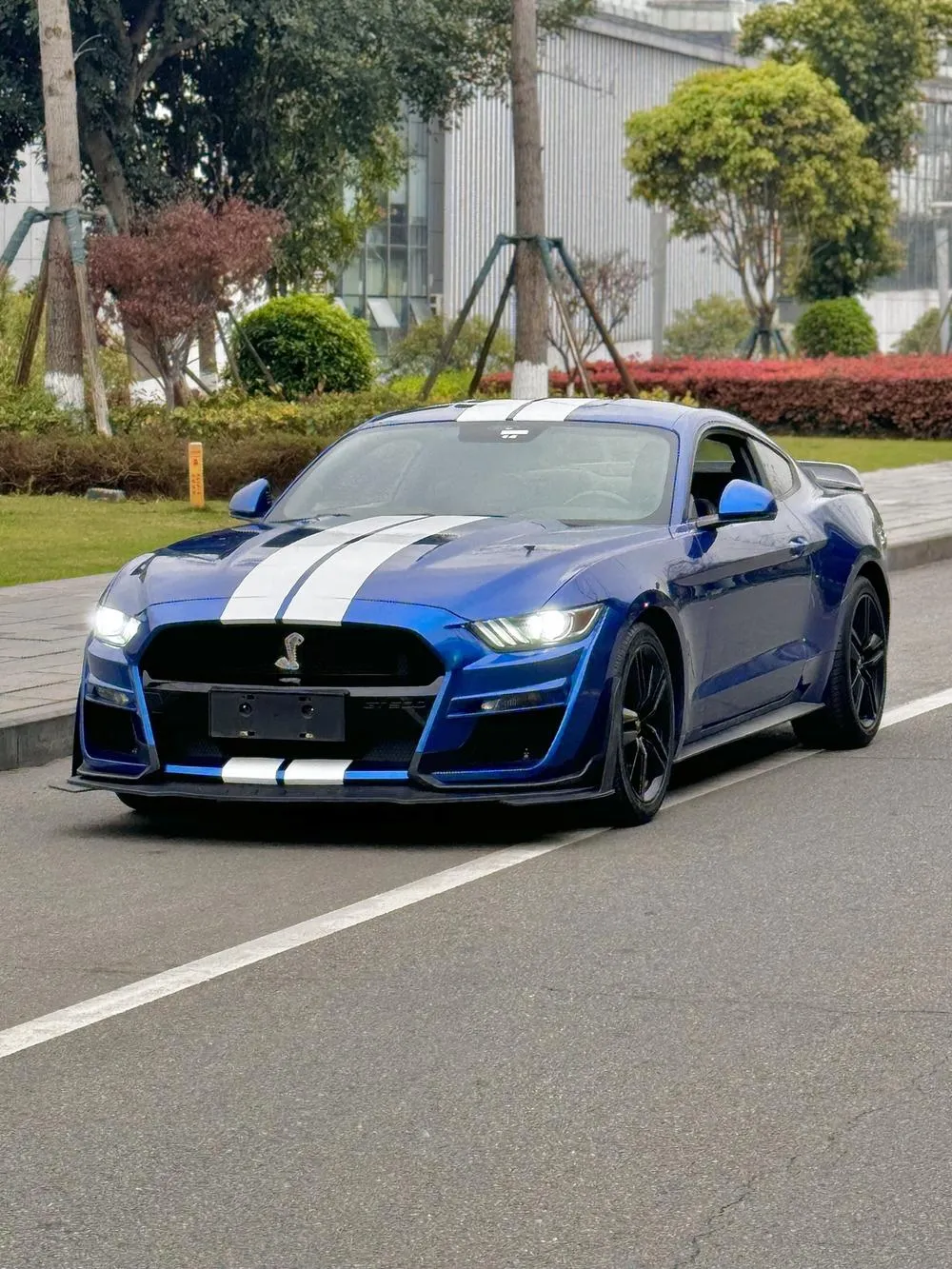 Ford Mustang 2.3T Performance Edition, 2017 — фото 1