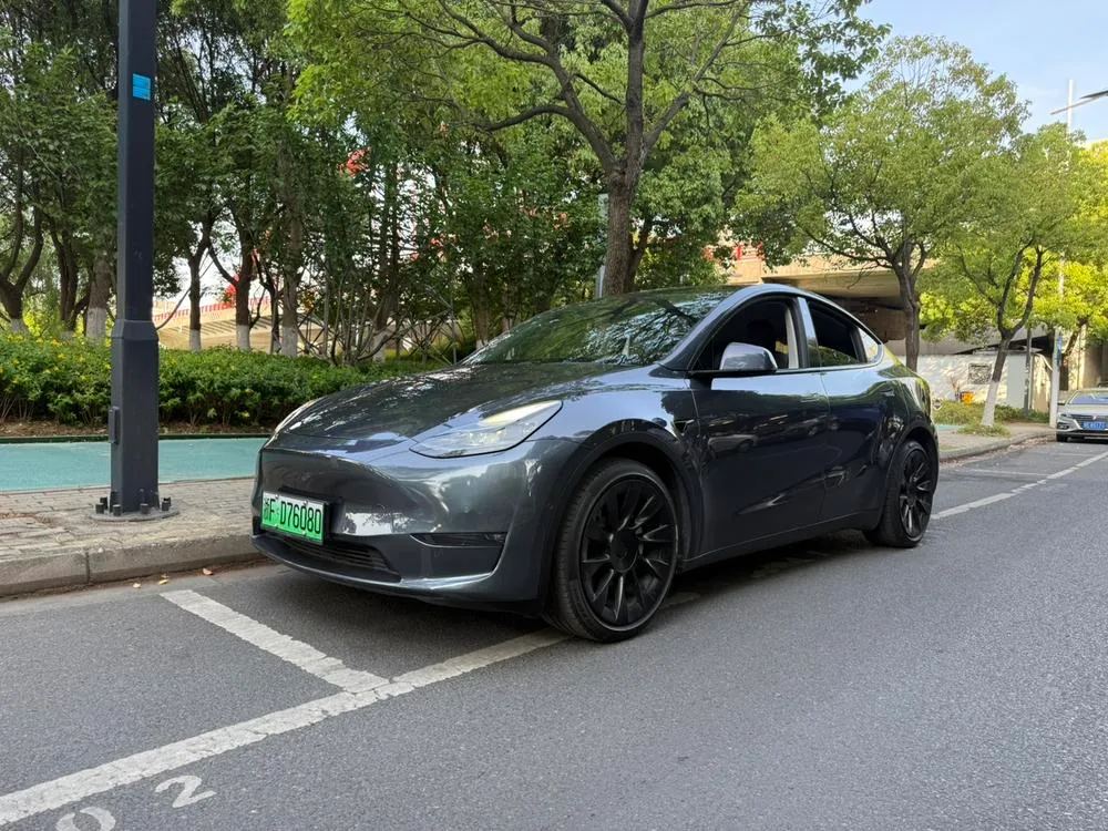 Tesla Model Y, 2021
