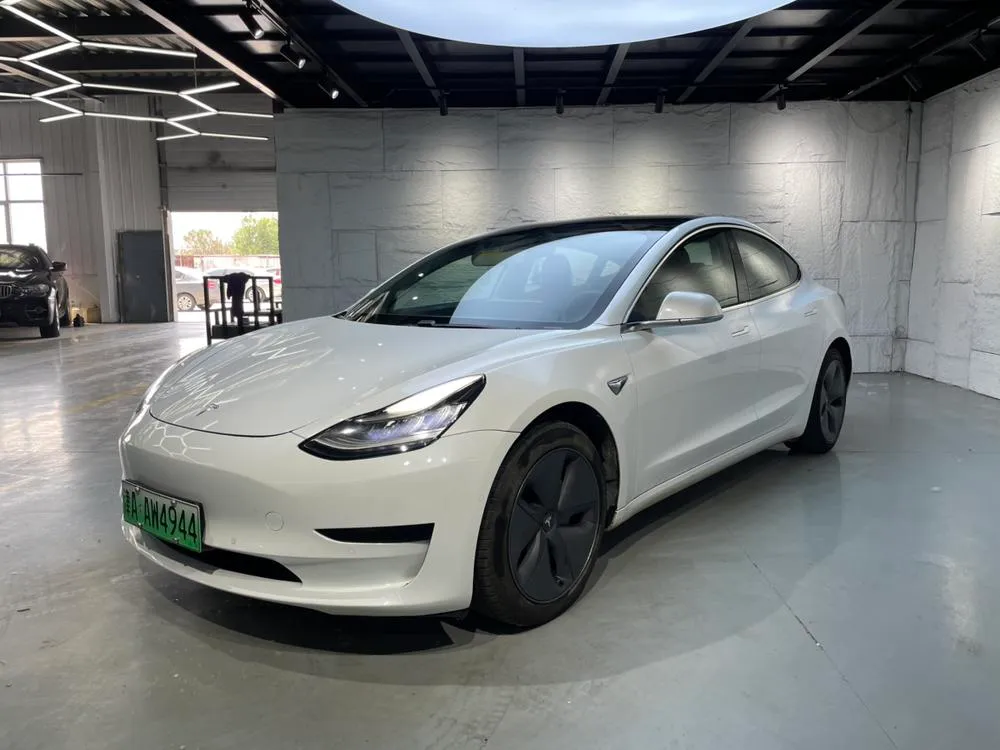 Tesla Model 3 (Import) Standard Range RWD Upgraded Edition, 2019 — фото 1