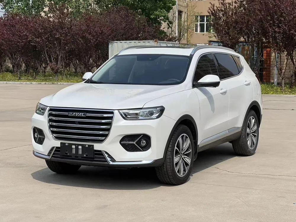 Haval H6 1.5GDIT Auto Gold Champion Edition, 2020 — фото 1
