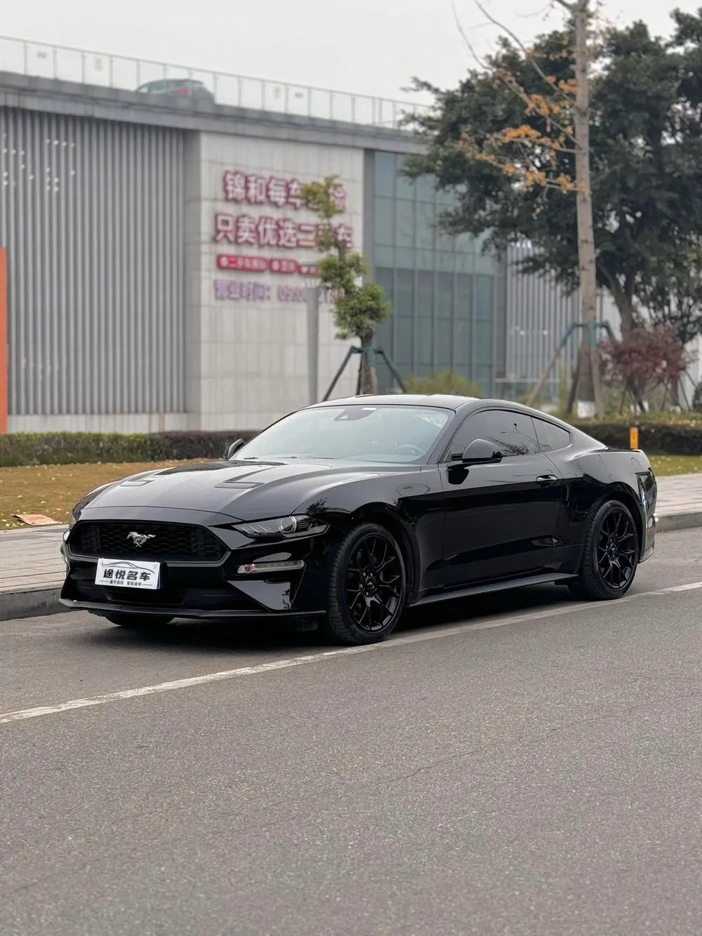 Ford Mustang 2.3T EcoBoost, 2020 — фото 1