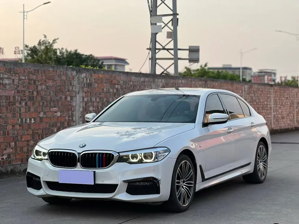 BMW 5-Series Facelift 530Li Leading Version M Sport, 2019 — фото 1