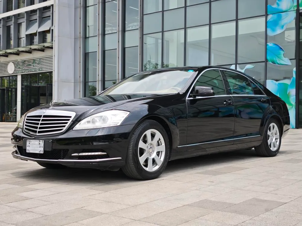Mercedes-Benz S-Class S 300 L Business Version, 2010 — фото 1