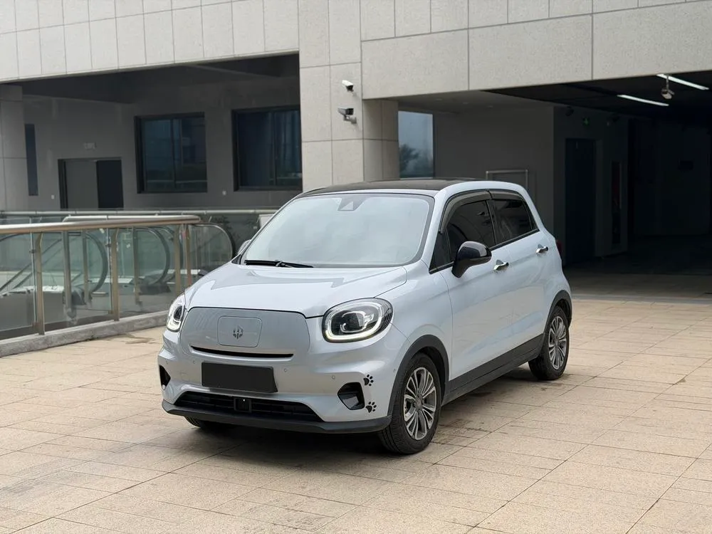 Leapmotor T03, 2022