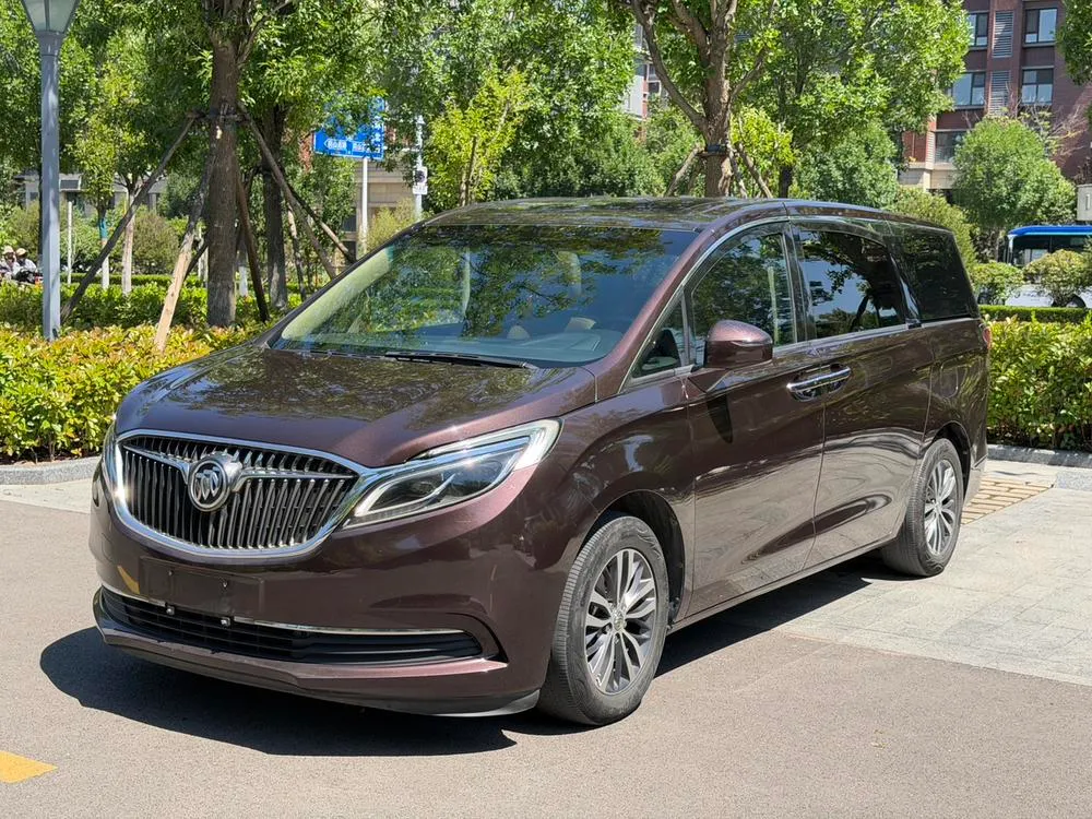 Buick GL8 ES 28T Luxury Version CN5, 2017 — фото 1