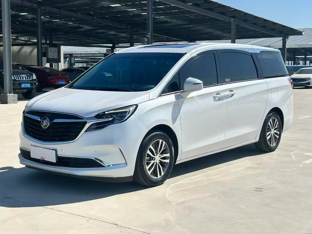 Buick GL8 ES Premium 653T Prestige Version, 2020 — фото 1