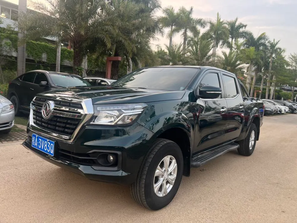 Dongfeng Rich 6, 2020
