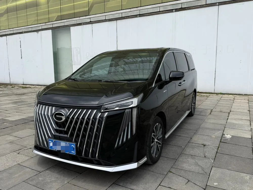 GAC Trumpchi Trumpchi M8 Series 2.0TGDI Premium Edition, 2024 — фото 1