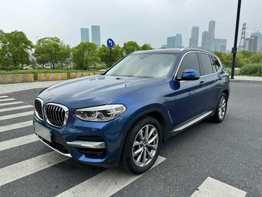 БМВ X3 xDrive25i Luxury, 2020 — фото 1