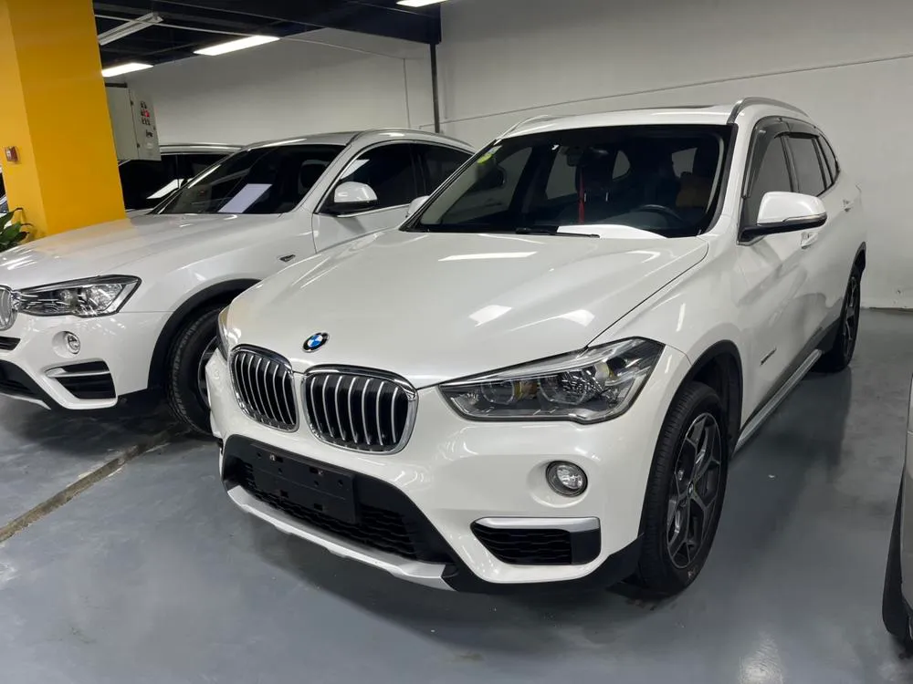 БМВ X1 xDrive20Li Prestige Version, 2018 — фото 1