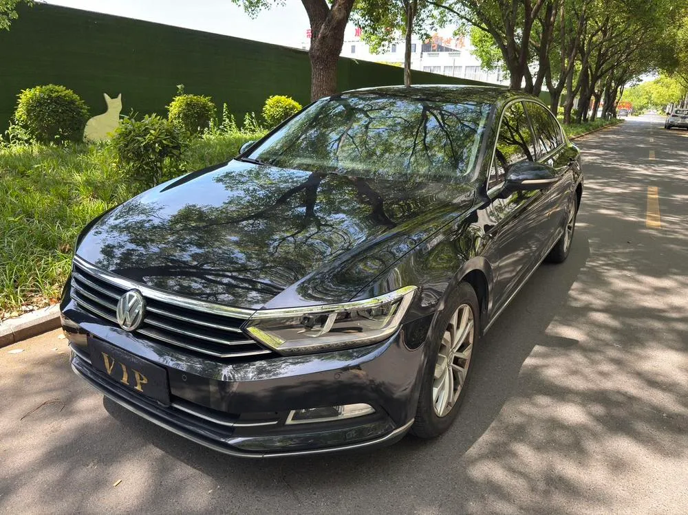 Volkswagen Magotan, 2019