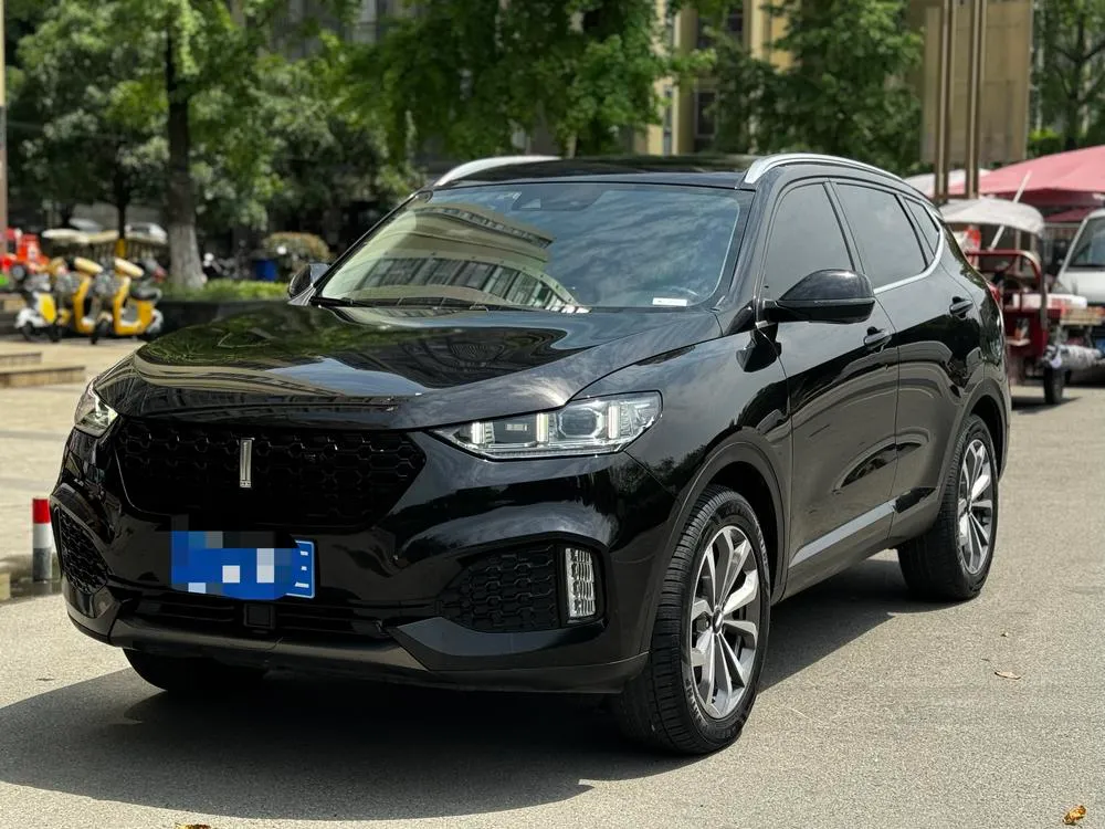 Wey VV6 2.0T 2WD Flagship Version CN5, 2018 — фото 1