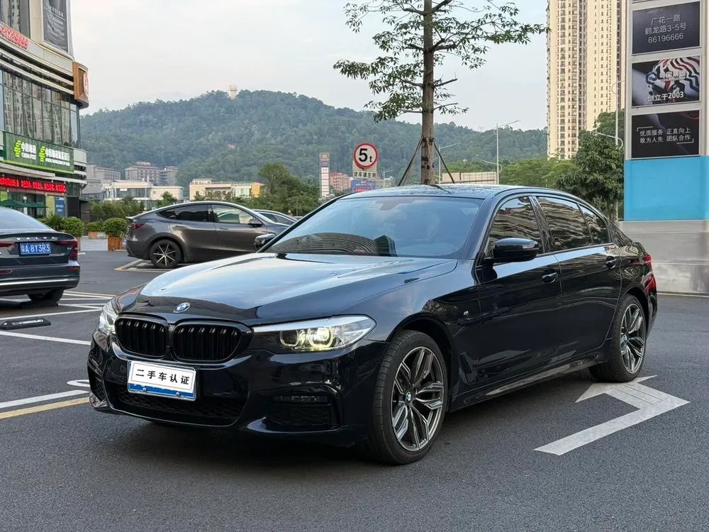 BMW 5-Series, 2019