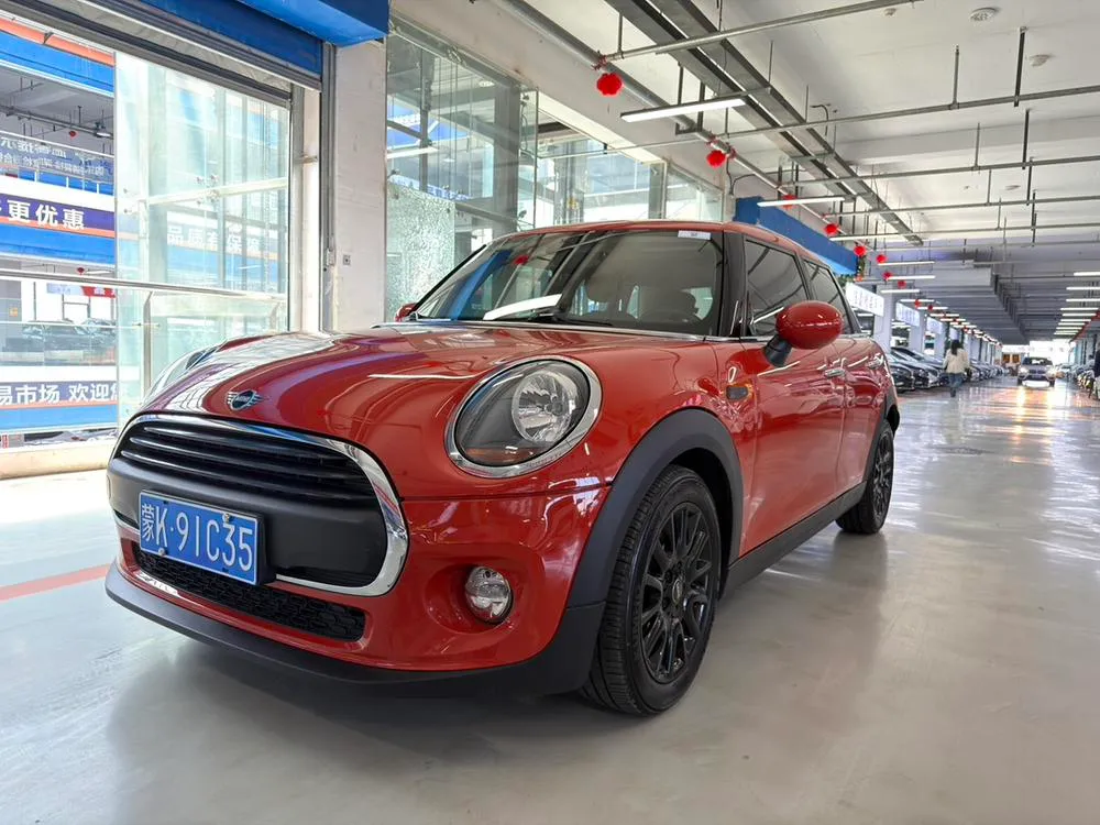 MINI MINI, 2018