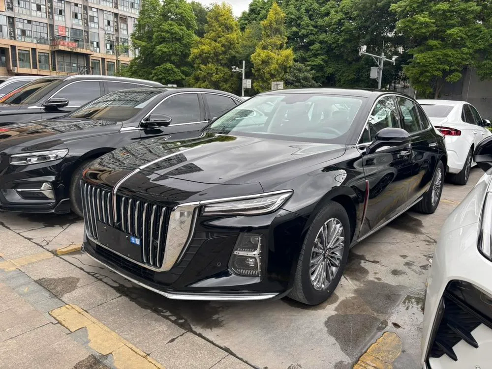 Hongqi H5, 2024