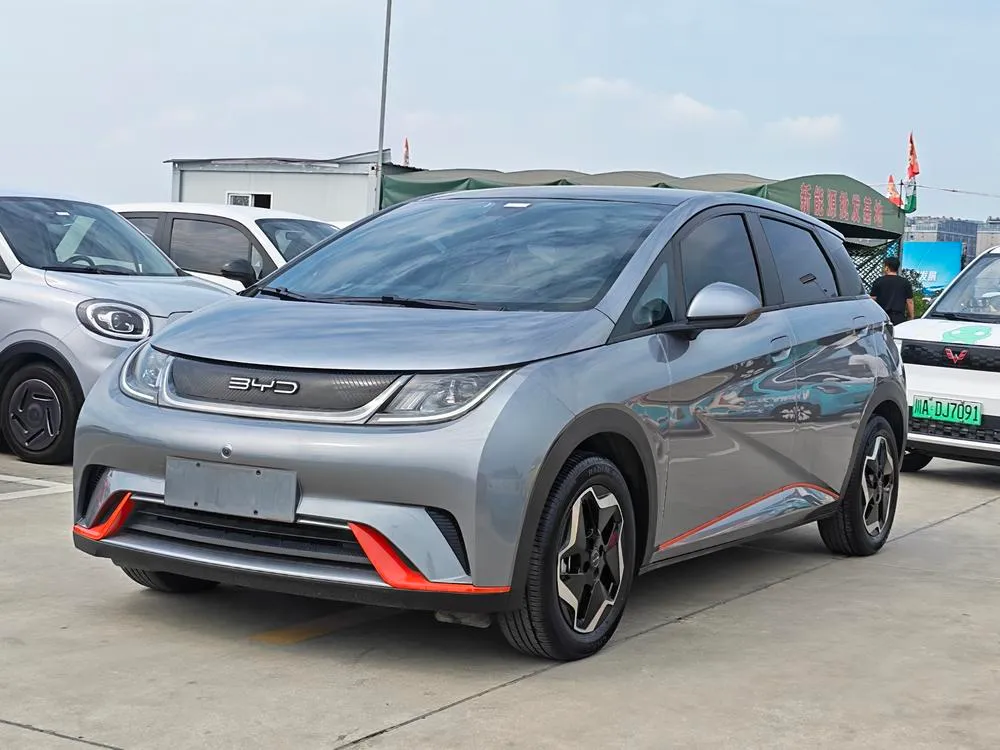 BYD Dolphin Fashion Edition, 2021 — фото 1