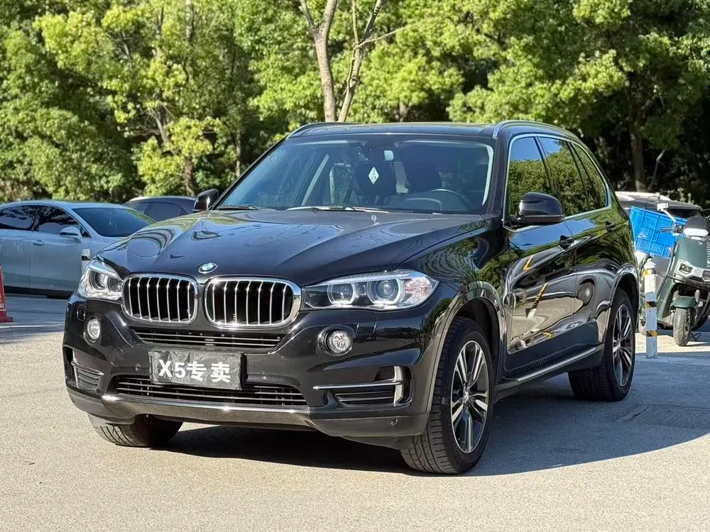 BMW X5 (Import) xDrive35i Version, 2017 — фото 1