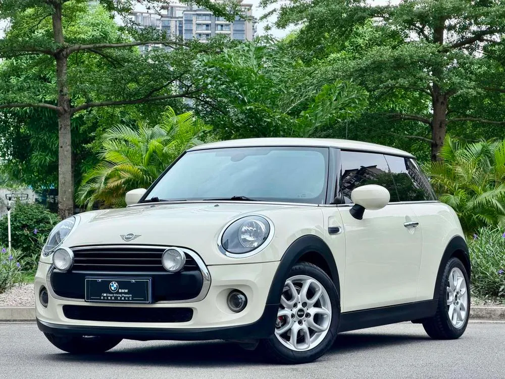MINI MINI, 2019