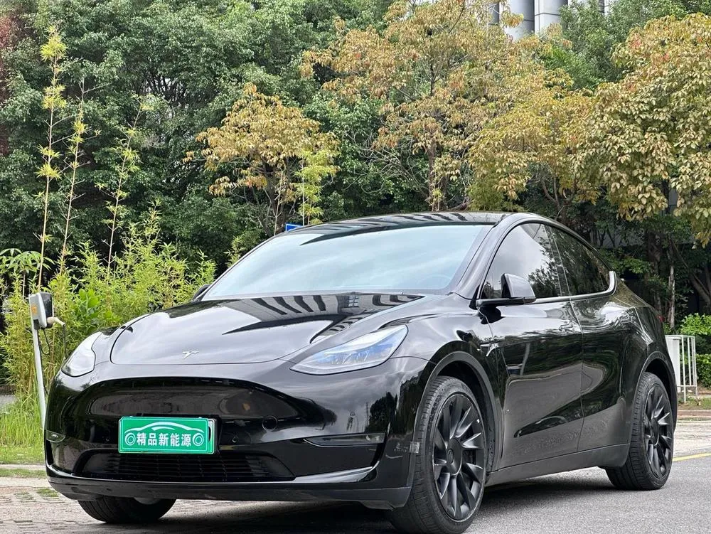 Тесла Model Y Long Range AWD Edition, 2022 — фото 1