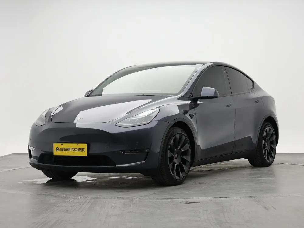 Tesla Model Y Long Range AWD Edition, 2021 — фото 1