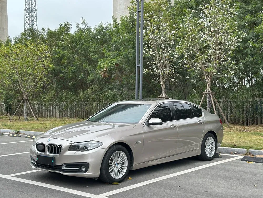 БМВ 5-Series 525Li Leading Version, 2014 — фото 1