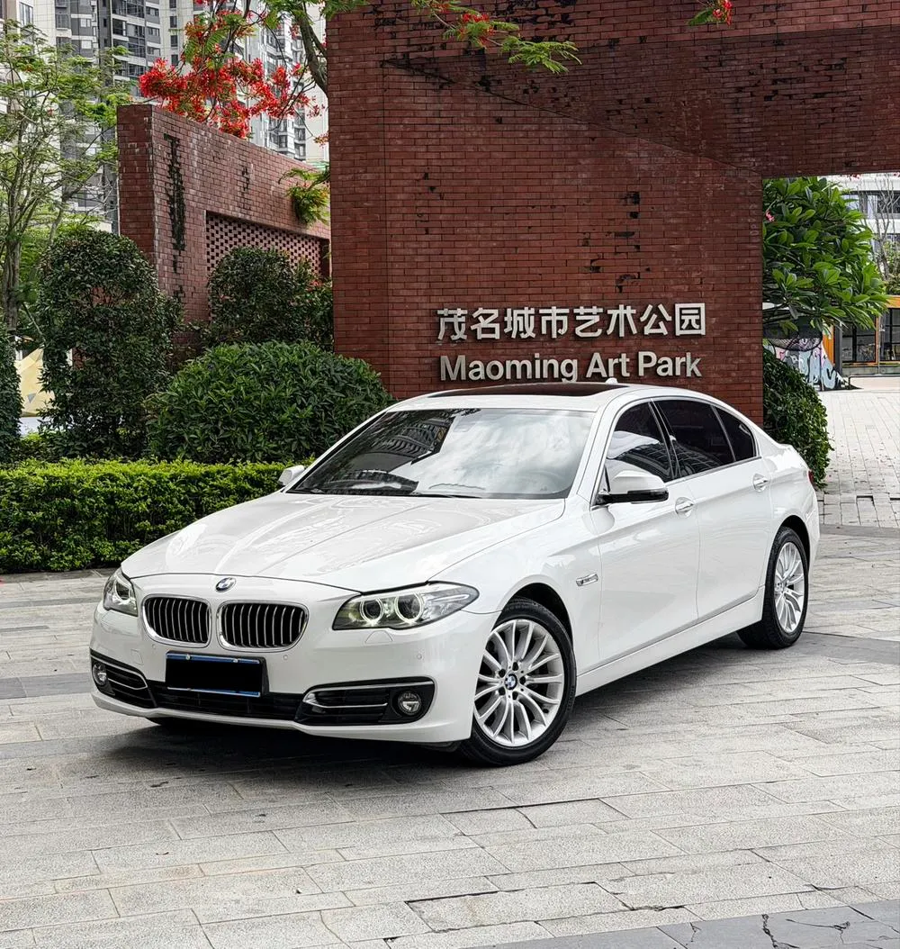 БМВ 5-Series 525Li Luxury, 2014 — фото 1