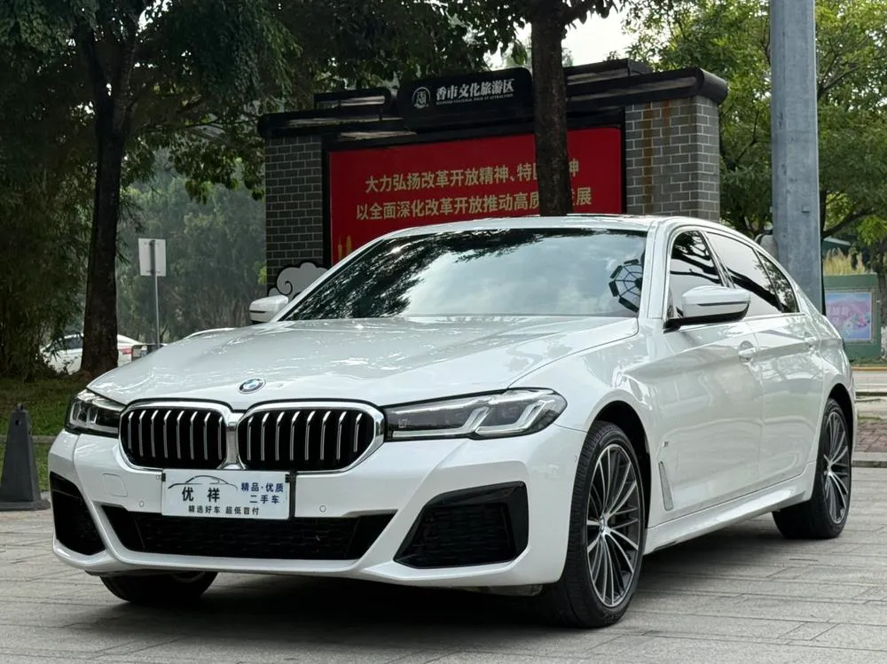 BMW 5-Series Facelift 530Li Leading Version M Sport, 2022 — фото 1