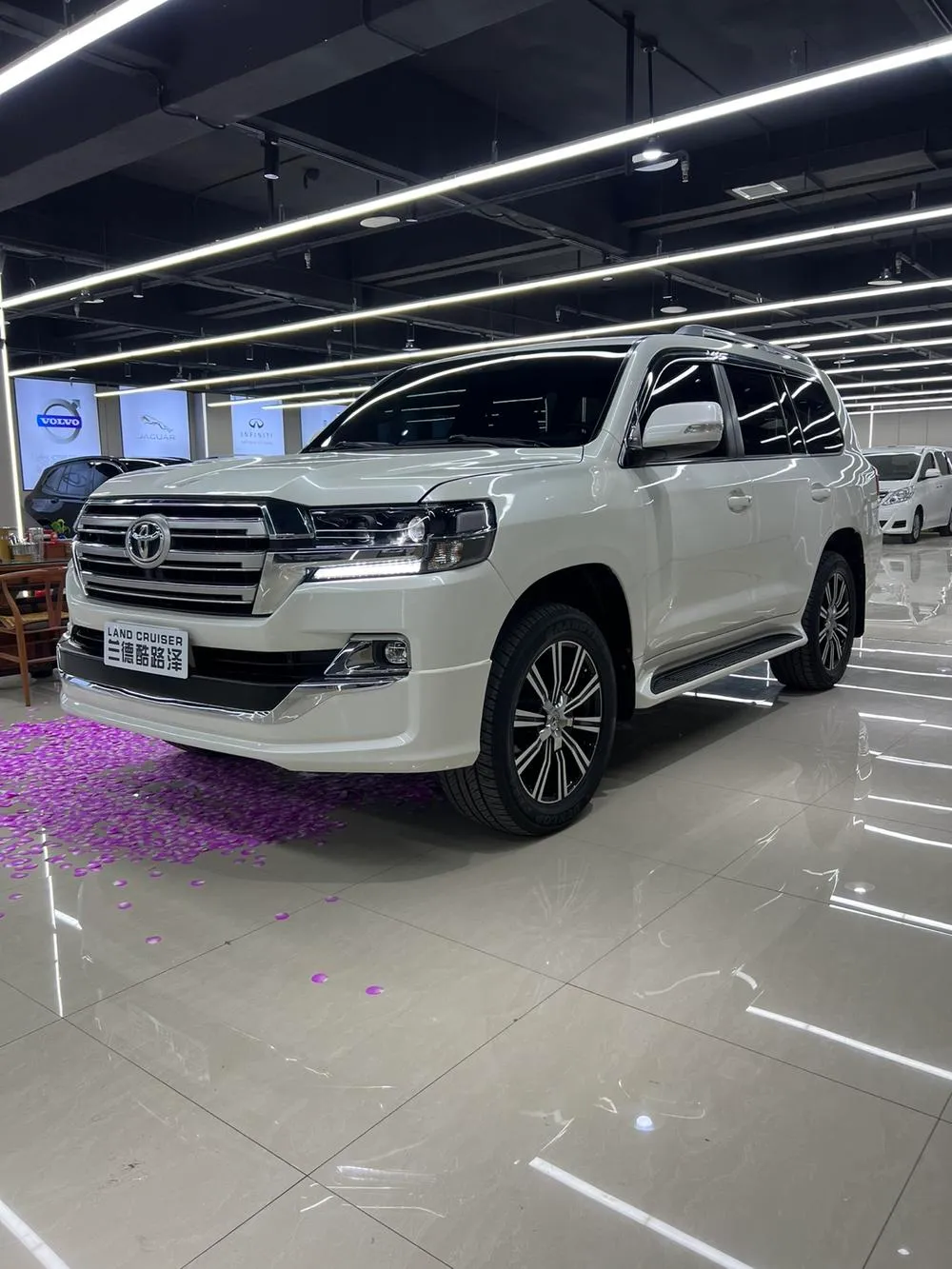 Toyota Land Cruiser (Import), 2016