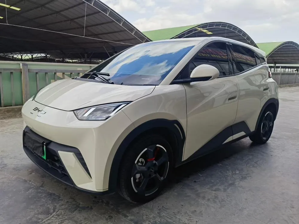 BYD Seagull, 2023
