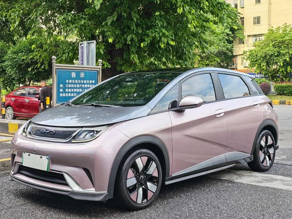 BYD Dolphin, 2021