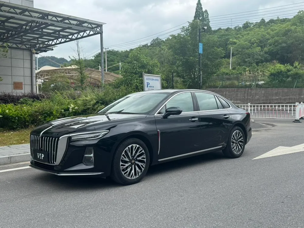 Hongqi H5, 2024