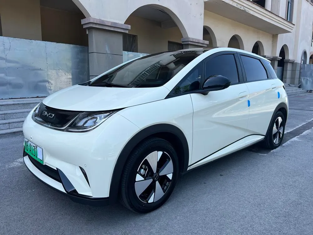 BYD Dolphin, 2023