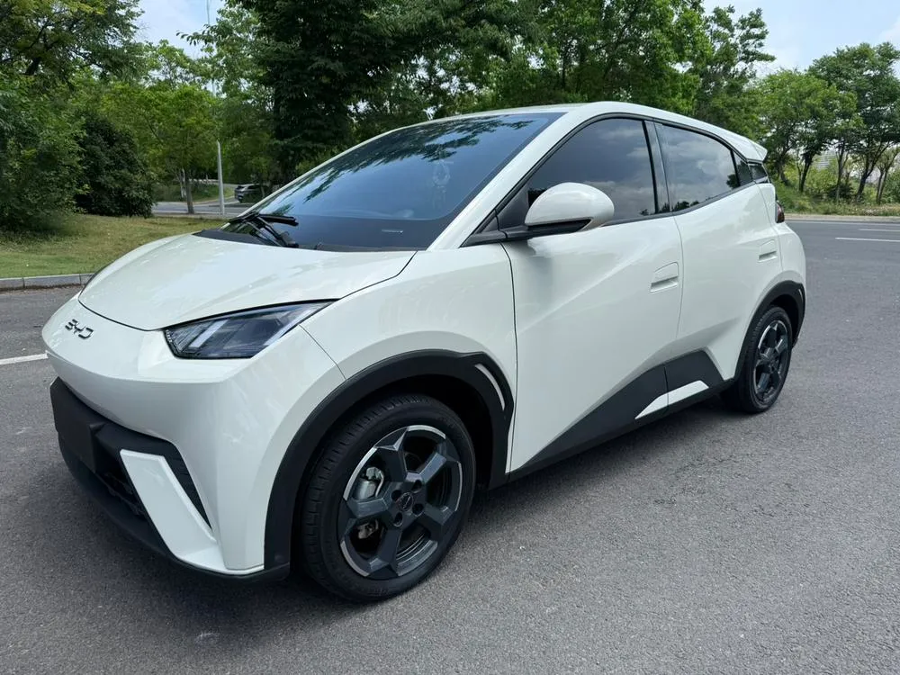 BYD Seagull, 2023