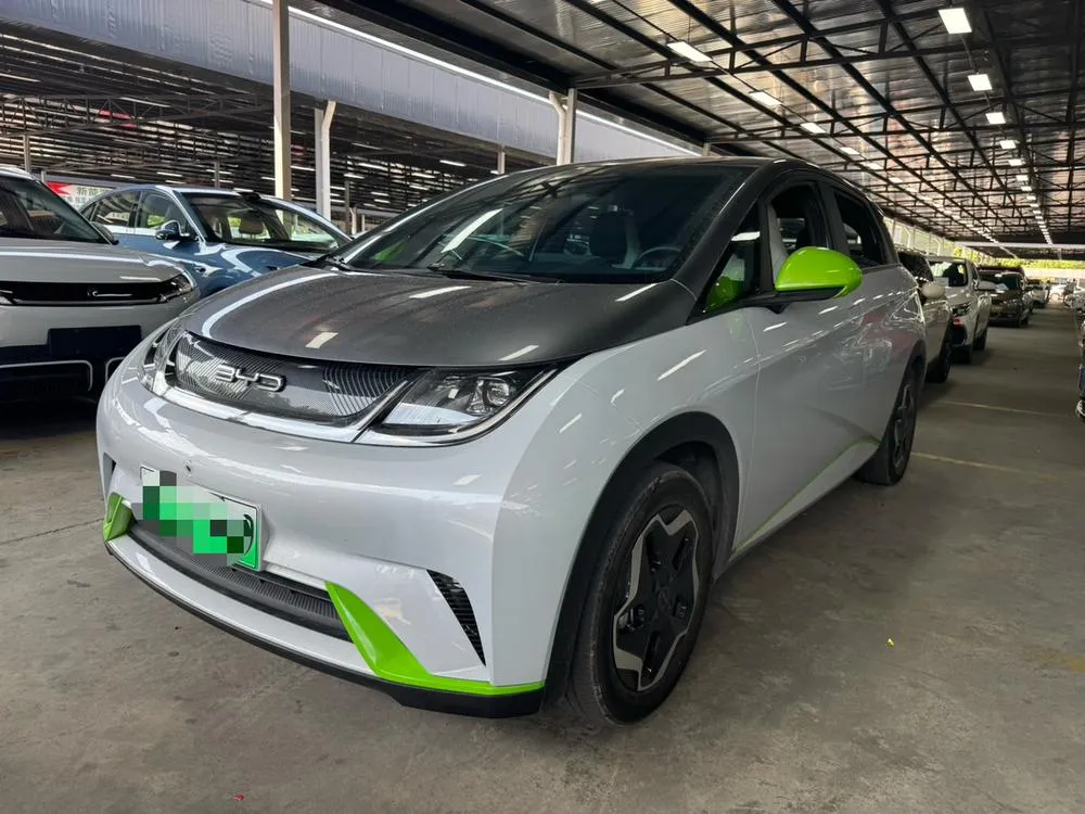 BYD Dolphin, 2021