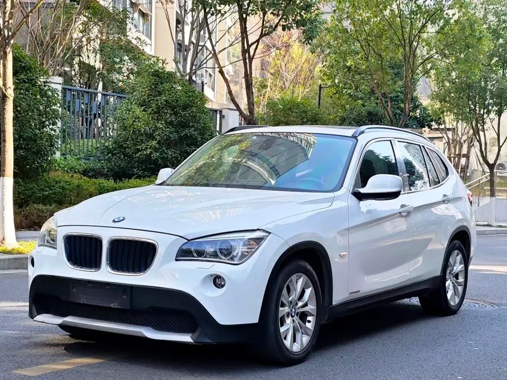 BMW X1 (Import) xDrive25i, 2010 — фото 1