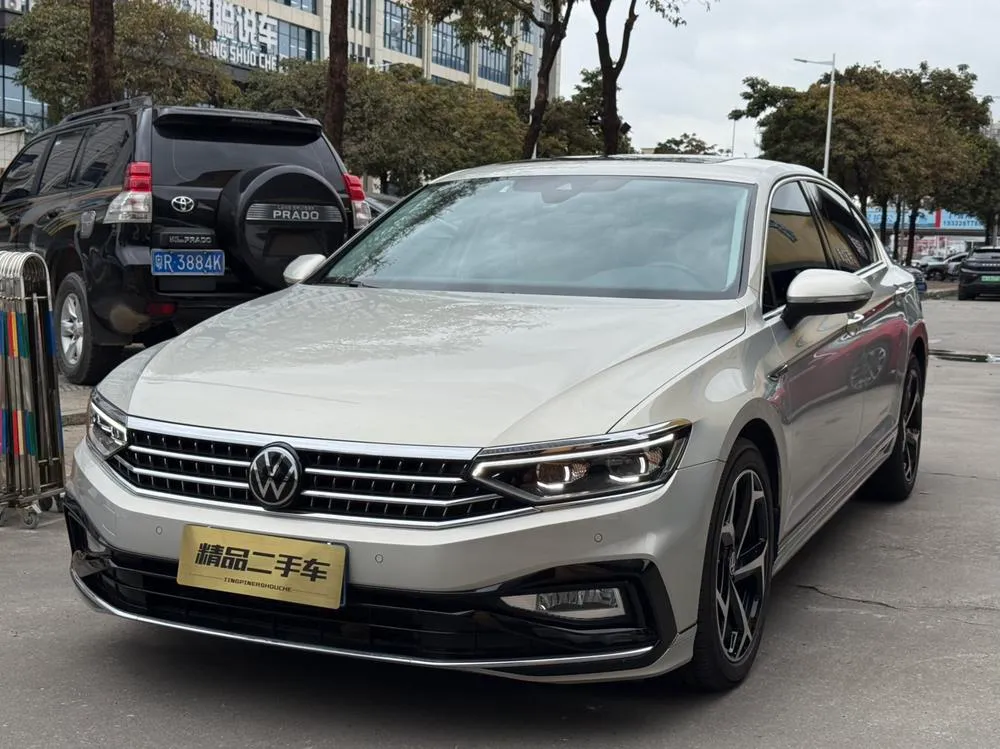 Volkswagen Magotan, 2024