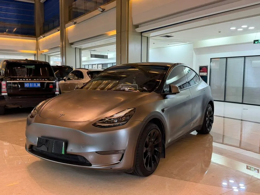 Tesla Model Y Standard Range Edition, 2021 — фото 1