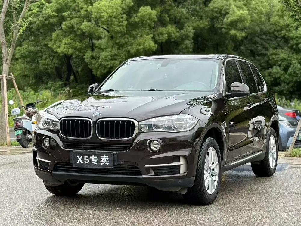 BMW X5 (Import) 3.0T Auto 4WD 5 Seater Parallel Import, 2017 — фото 1