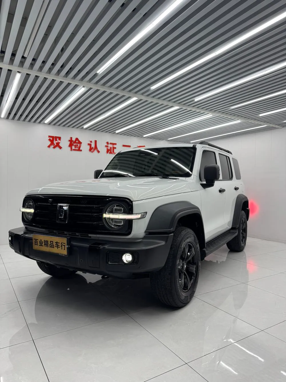 Tank 300, 2021