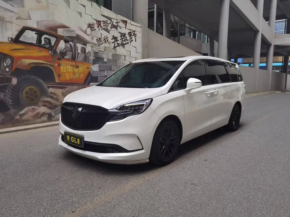 Buick GL8 ES Premium 653T Prestige Version, 2022 — фото 1