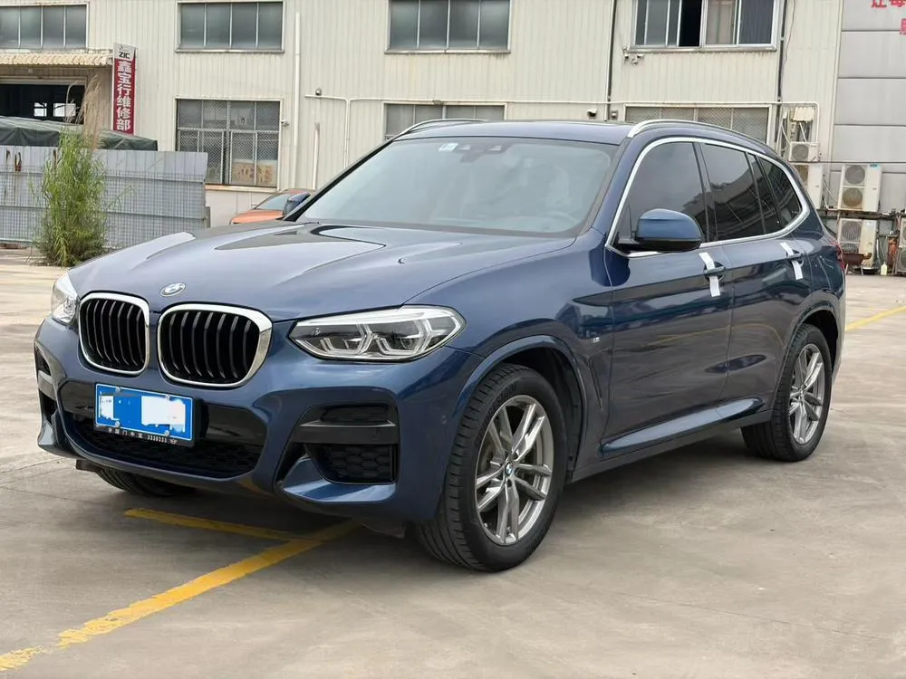 BMW X3 xDrive25i M Sport, 2020 — фото 1