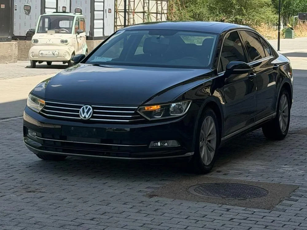 Volkswagen Magotan, 2017
